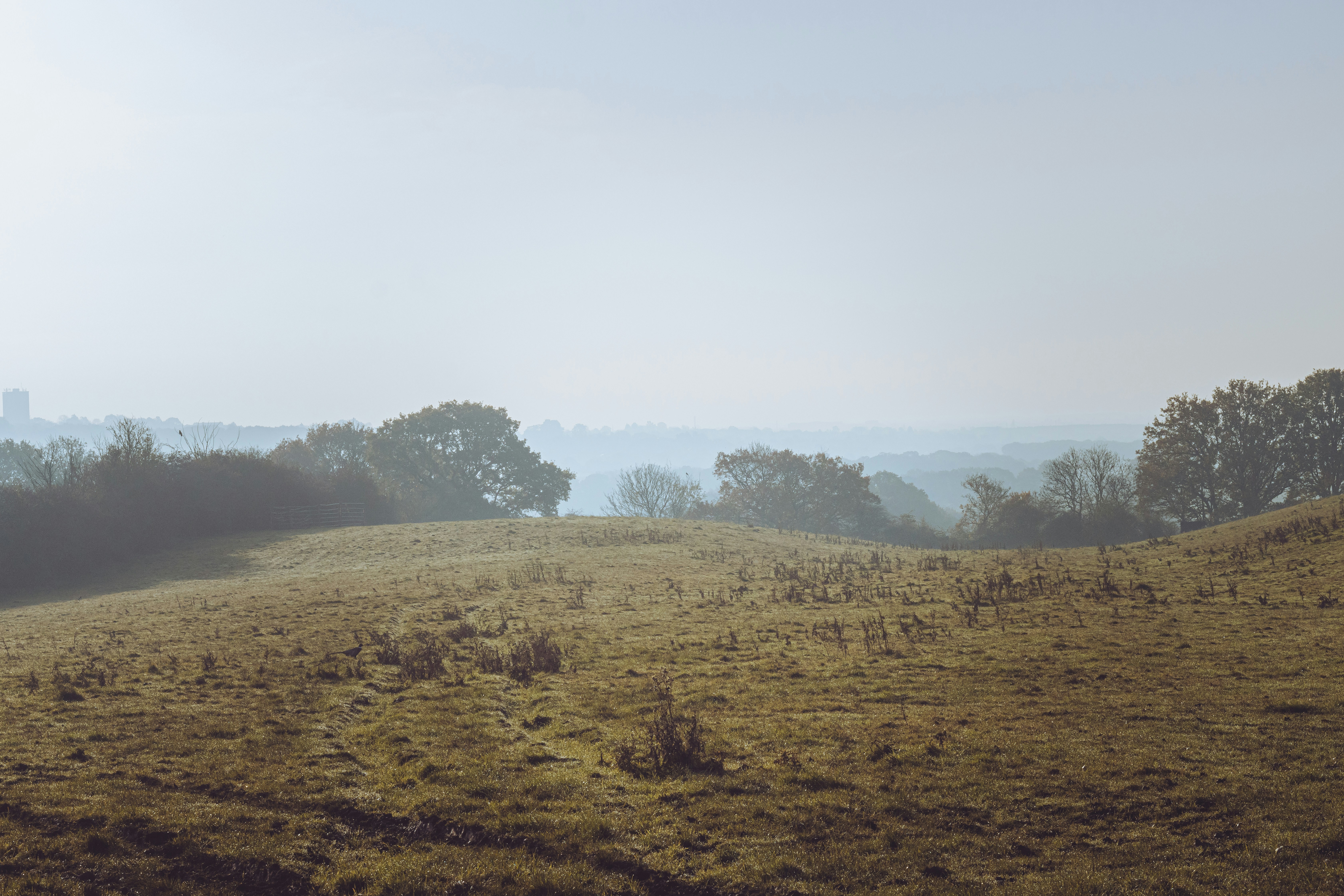 Inheritance Tax Planning
